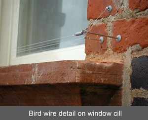 bird wire cill