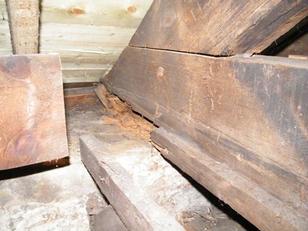 The timber trusses were affected by wet rot at the bearing ends, and as a result had slipped out of place, at Falkirk, Stirlingshire, Scotland