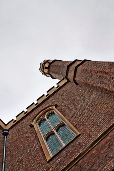 This listed building was suffering from a bird control problem, and required bird wire and bird spikes: St Malachy's Church, Belfast, Co. Antrim, NI