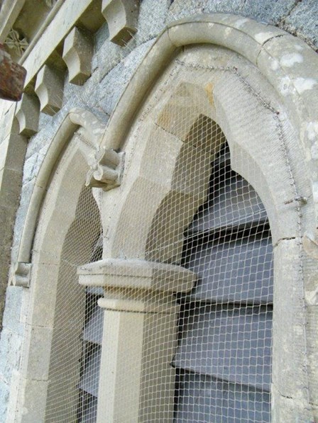 Detail of bird netting and pigeon spikes at windows, Drumbanagher COI, Newry, Co. Down, Northern Ireland