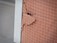 Portion of the stone cladding fragmenting, and posing a risk to the public below.  A masonry netting was fixed to the facade to prevent falling debris, at Jury's Inn, Liverpool, England