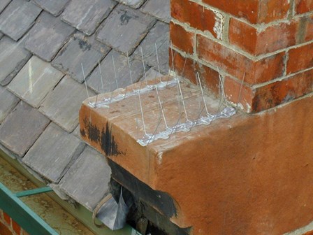 Detailed photo of the discreet bird spikes at Portrush Town Hall, Co. Antrim, NI