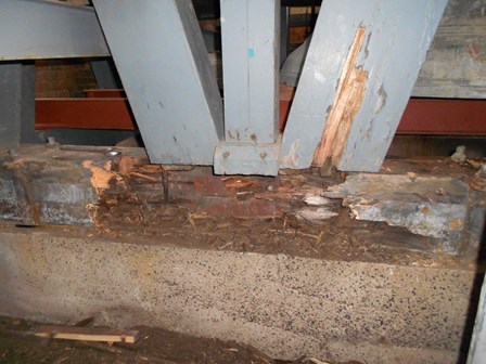 Evidence of damp and dry rot in the trusses at The Guildhall, Londonderry, Northern Ireland