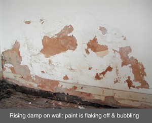 rising damp proof course chemical injection electro osmosis dpc northern ireland NI