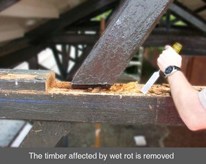 001 Ballymoney removing wet dry wood rot antrim northern ireland NI