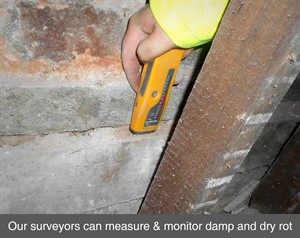 001 survey damp dampness damp proofing dry rot wet rot timber decay wood rot belfast northern ireland NI