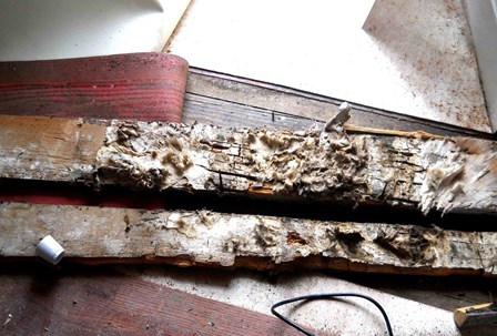 The timber battens are significantly decayed by the wood rot, caused by the penetrating damp, at Richhill Castle, Co. Armagh, Northern Ireland, NI