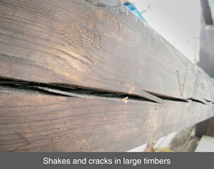 005 shakes cracks timber splice beam wet dry wood rot co down northern ireland NI