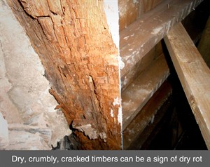 002 dry rot wet rot timber splice repair damp timber truss wood belfast dublin northern ireland NI