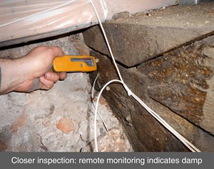 002 dry rot monitoring decay wet rot timber splice repair damp timber truss wood belfast dublin northern ireland NI