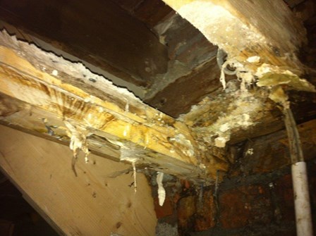 Dry rot is visible on the timber joists in this Ulsterville Ave House, Belfast