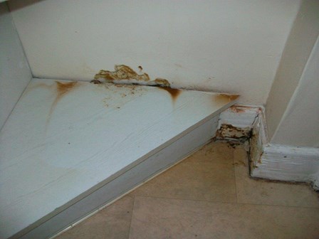 The timber stairs have been infected by dry rot in this house in Belfast