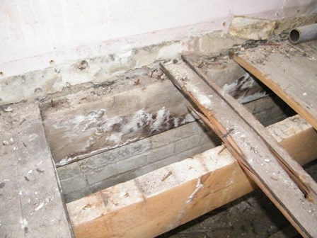 Damp masonry has resulted in the timber floor joists being affected by wood rot, RBAI, Belfast